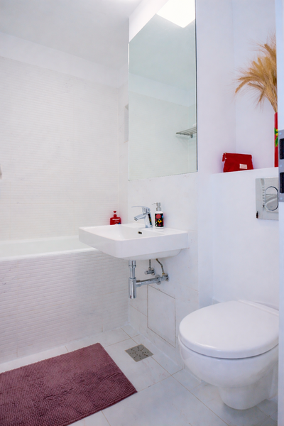 Rahova, Malcoci, Petre Ispirescu.