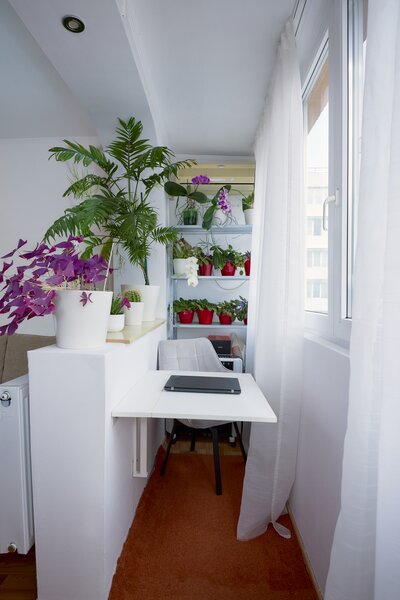 Rahova, Malcoci, Petre Ispirescu.