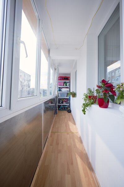 Rahova, Malcoci, Petre Ispirescu.